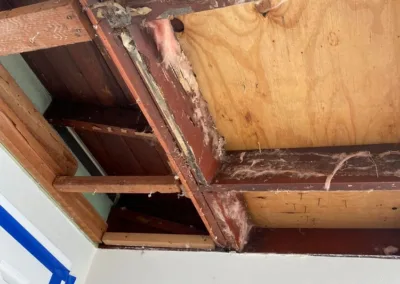Living Room Ceiling Mold Remediation in La Mesa, CA