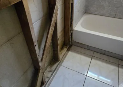 Mold Clearance