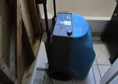 Mold Clearance