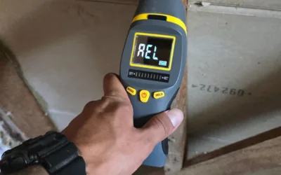 Mold Clearance in San Diego, CA