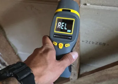 Mold Clearance