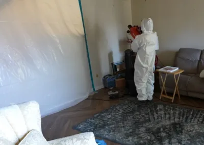 Mold Remediation in La Mesa, CA