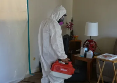 Mold Remediation in La Mesa, CA