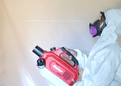 Mold Remediation in La Mesa, CA