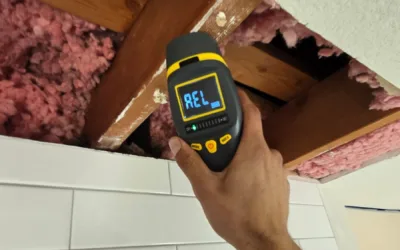 Shower Ceiling Mold Remediation in Oceanside, CA