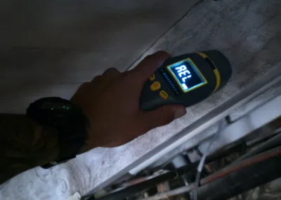 Crawl Space Mold Remediation