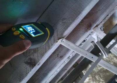 Crawl Space Mold Remediation