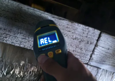 Crawl Space Mold Remediation