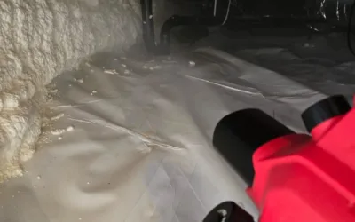 Crawl Space Mold Remediation in Encinitas, CA