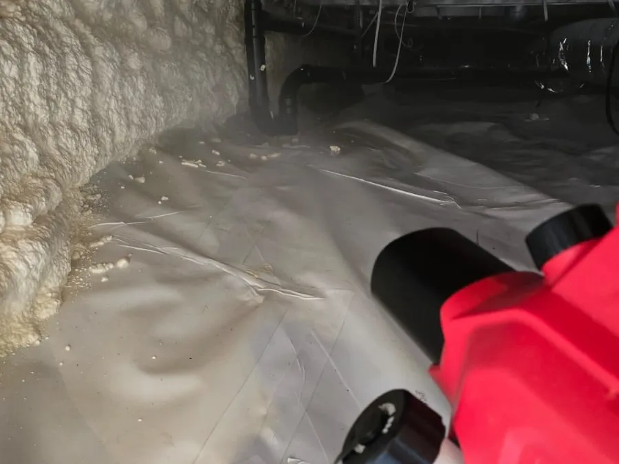 Crawl Space Mold Remediation in Encinitas, CA