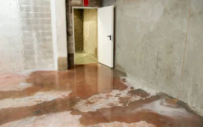 Water Damage Restoration in Commercial Properties: Challenges and Solutions