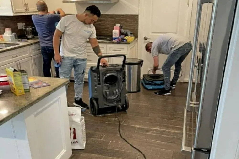 What to Do After Water Damage in Your San Diego Home