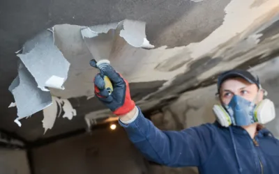 How Do Restoration Experts Handle Smoke and Soot Removal?