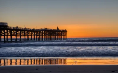 Expert Mold Remediation Services in Mission Beach