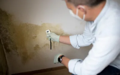 How to Spot Hidden Water Damage Before It’s Too Late