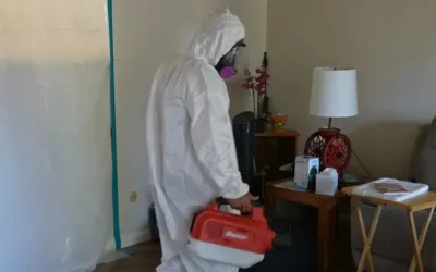 Medical Mold Remediation Services in San Diego