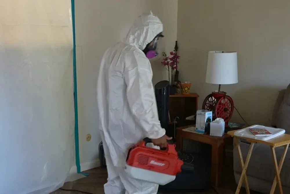 Medical Mold Remediation Services in San Diego