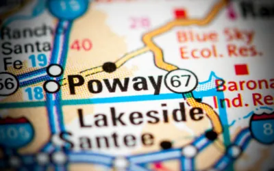Mold Remediation Services in Poway
