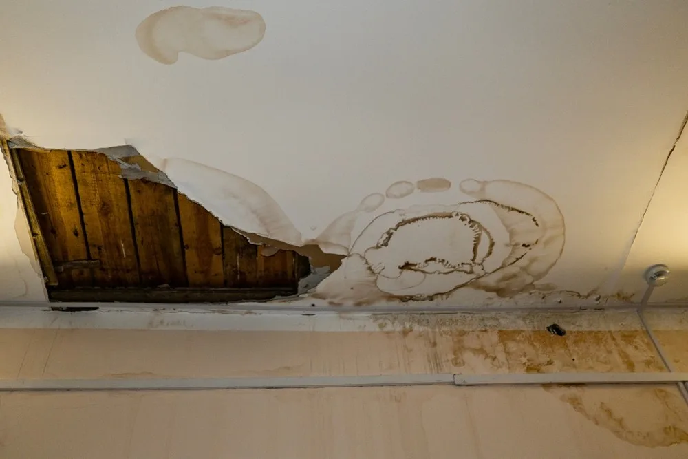 The Health Risks of Ignoring Water Damage in Your Home