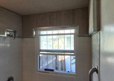 bathroom mold remediation