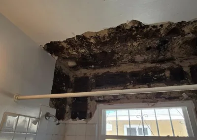 bathroom mold remediation