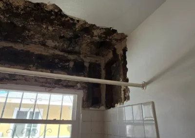 bathroom mold remediation