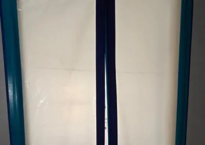 bathroom mold remediation