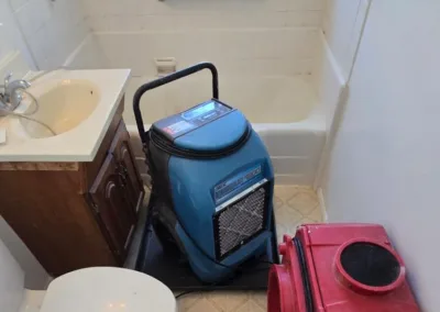 bathroom mold remediation