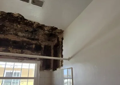 bathroom mold remediation