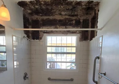 bathroom mold remediation